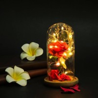 Beauty And The Beast Enchanted Rose Glass Dome LED Lighted Wedding Decor Gift   113058275179